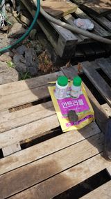 팜모닝 귤·영농일지 게시글 이미지