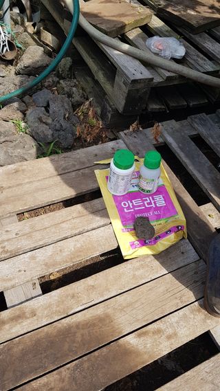 오창열님의 귤 · 영농일지 작성글 사진