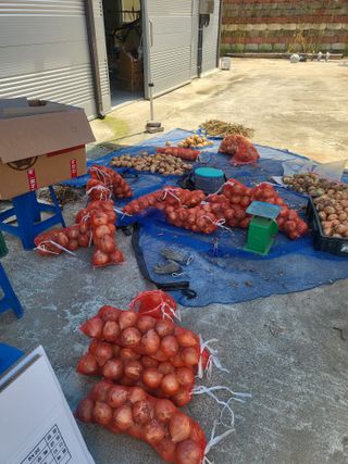 남원여시님의 양파 · 영농일지 작성글 사진