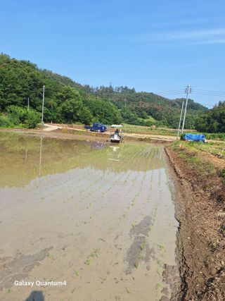 임동식님의 벼 · 영농일지 작성글 사진