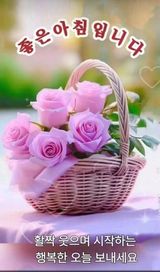 팜모닝 옥수수·영농일지 게시글 이미지