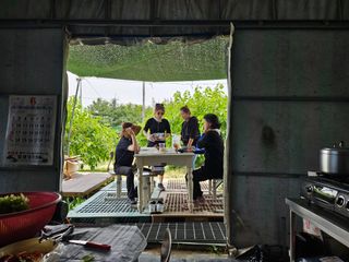 신이내린오디 정가네님의 감 · 영농일지 작성글 사진