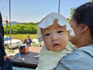 신이내린오디 정가네님의 감 · 영농일지 작성글 사진