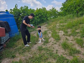 신이내린오디 정가네님의 감 · 영농일지 작성글 사진