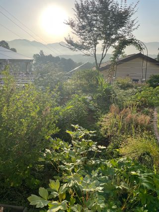 김지훈님의 자유주제 · 자유게시판 작성글 사진