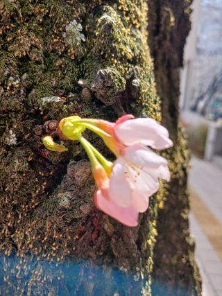 김경란 님의 🎤어떤 노래 좋아하세요? · 참여글 작성글 사진