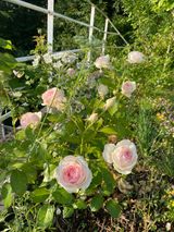 팜모닝 자유주제·자유게시판 게시글 이미지