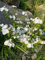 팜모닝 자유주제·자유게시판 게시글 이미지