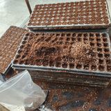 팜모닝 들깨·영농일지 게시글 이미지