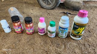 김준한님의 자두 · 영농일지 작성글 사진