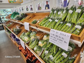 이훈정(시몬)님의 자유주제 · 자유게시판 작성글 사진