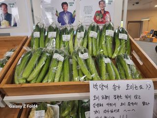 이훈정(시몬)님의 자유주제 · 자유게시판 작성글 사진