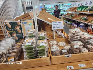 이훈정(시몬)님의 자유주제 · 자유게시판 작성글 사진