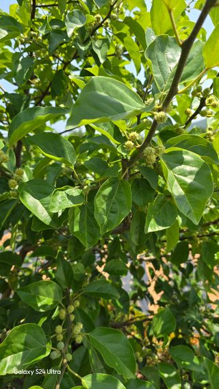 홍성부님의 자유주제 · 자유게시판 작성글 사진