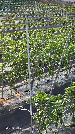 홍성부님의 자유주제 · 자유게시판 작성글 사진