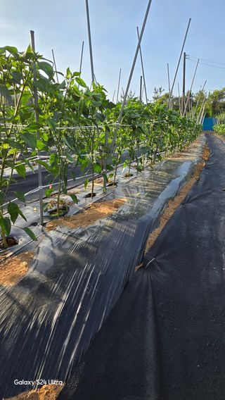 홍성부님의 자유주제 · 자유게시판 작성글 사진