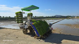 조성대님의 벼 · 영농일지 작성글 사진