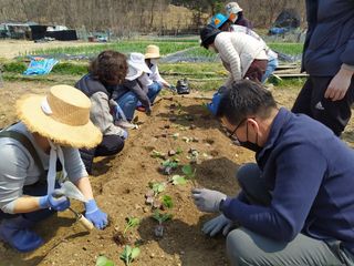 안전요원님의 🎤어떤 노래 좋아하세요? · 참여글 작성글 사진