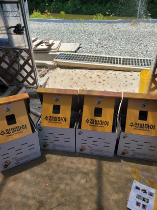 최창남님의 토마토 · 영농일지 작성글 사진