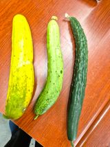 팜모닝 자유주제·자유게시판 게시글 이미지