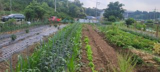 차동근님의 자유주제 · 자유게시판 작성글 사진