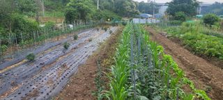 차동근님의 자유주제 · 자유게시판 작성글 사진