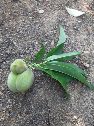 구인회님의 자유주제 · 자유게시판 작성글 사진