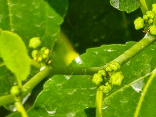 주주농장님의 기타작물 · 영농일지 작성글 사진