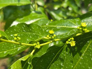 주주농장님의 기타작물 · 영농일지 작성글 사진