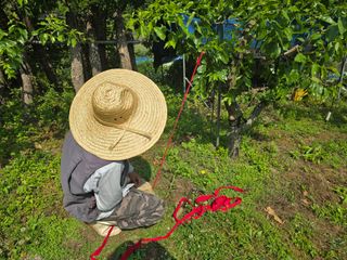 주주농장님의 기타작물 · 영농일지 작성글 사진