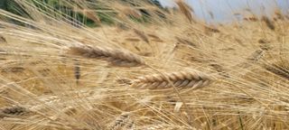 이성근님의 기타작물 · 영농일지 작성글 사진