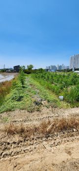 팜모닝 자유주제·자유게시판 게시글 이미지