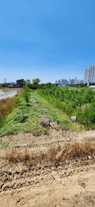 순창쌍치김선중님의 자유주제 · 자유게시판 작성글 사진