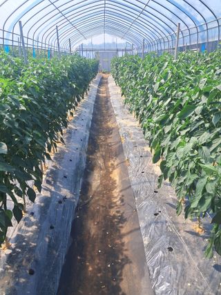 리포님의 자유주제 · 자유게시판 작성글 사진