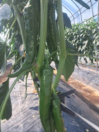 리포님의 자유주제 · 자유게시판 작성글 사진