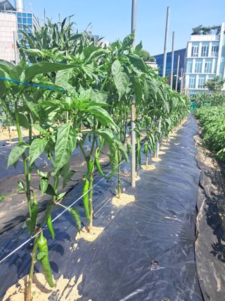 리포님의 자유주제 · 자유게시판 작성글 사진