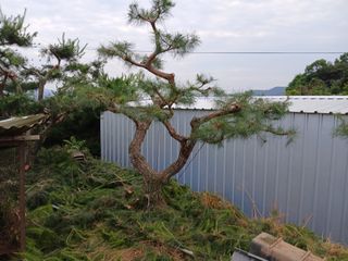 이동수님의 자유주제 · 사진전 작성글 사진