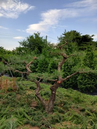 이동수님의 자유주제 · 사진전 작성글 사진