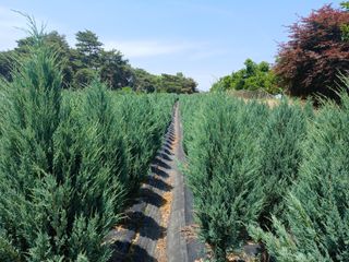 이동수님의 자유주제 · 사진전 작성글 사진