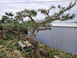 이동수님의 자유주제 · 사진전 작성글 사진