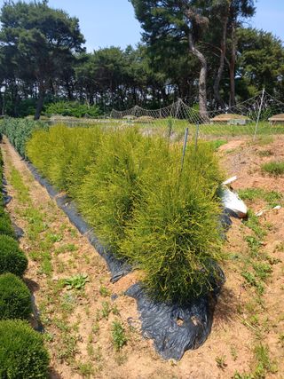 이동수님의 자유주제 · 사진전 작성글 사진