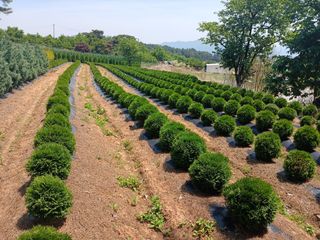 이동수님의 자유주제 · 사진전 작성글 사진