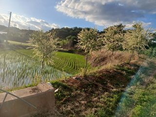 이동수님의 자유주제 · 사진전 작성글 사진