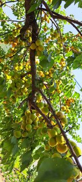 팜모닝 자유주제·사진전 게시글 이미지