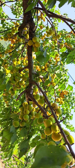 콩18930님의 자유주제 · 사진전 작성글 사진