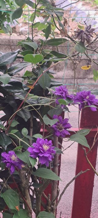 콩18930님의 자유주제 · 사진전 작성글 사진