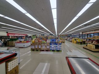 강순옥님의 자유주제 · 사진전 작성글 사진