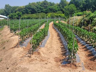 음악사랑님의 자유주제 · 자유게시판 작성글 사진