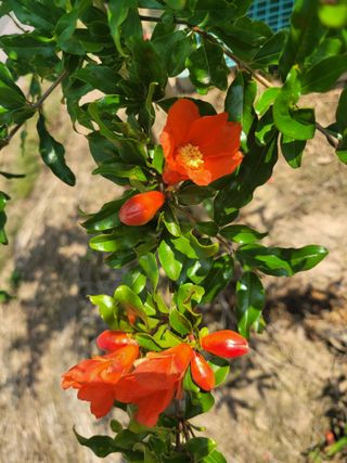 음악사랑님의 자유주제 · 자유게시판 작성글 사진