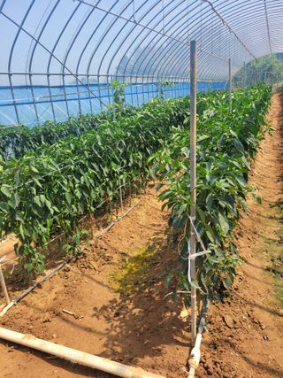 음악사랑님의 자유주제 · 자유게시판 작성글 사진